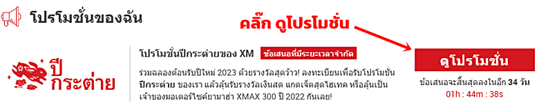 xm-rabbit-promotion-2023-1